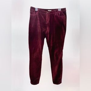GORGEOUS GARNET HILL VELOUR PANTS~ COLOR MAROON SIZE 6P WAIST 16.5 LENGTH 37 🌺